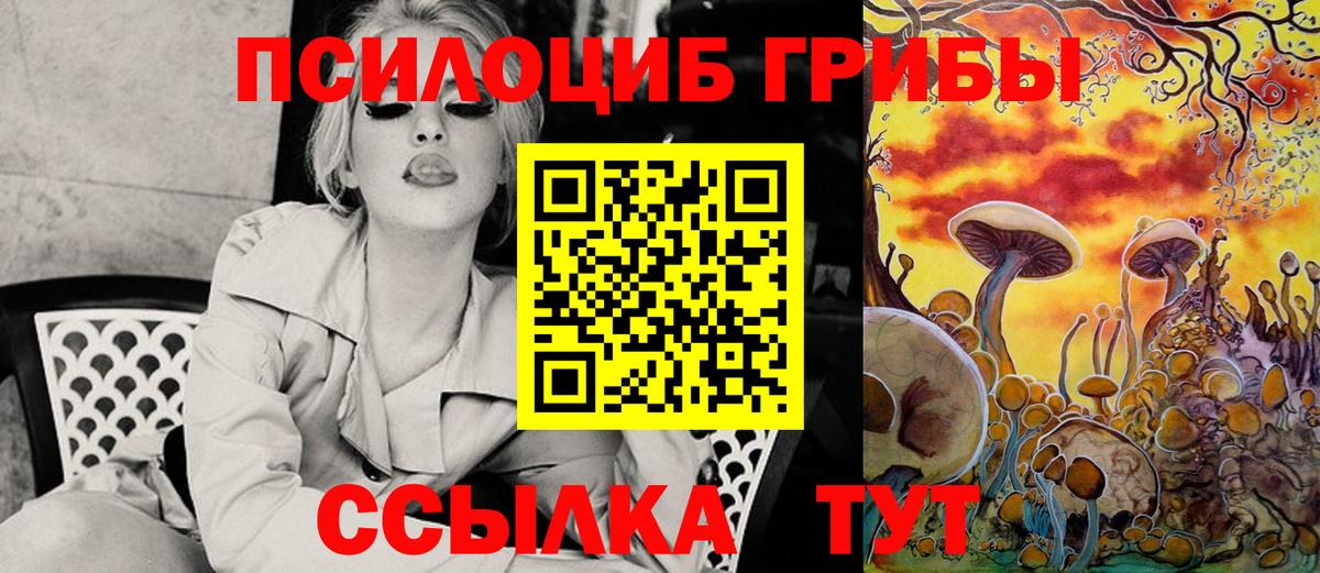 Псилоцибиновые грибы Psilocybine cubensis  Вход с VPN  Артём 