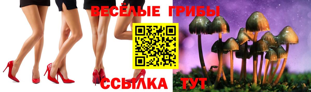 Псилоцибиновые грибы Psilocybe Артём